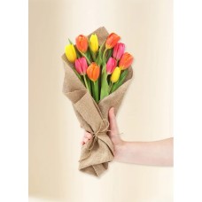 Tulips - Vivid (10)